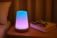 13 Color Changing Night Light