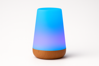 13 Color Changing Night Light