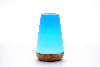 13 Color Changing Night Light