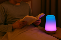 13 Color Changing Night Light