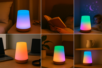 13 Color Changing Night Light