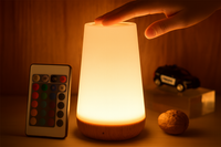 13 Color Changing Night Light