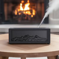 FIREPLACE HUMIDIFIER